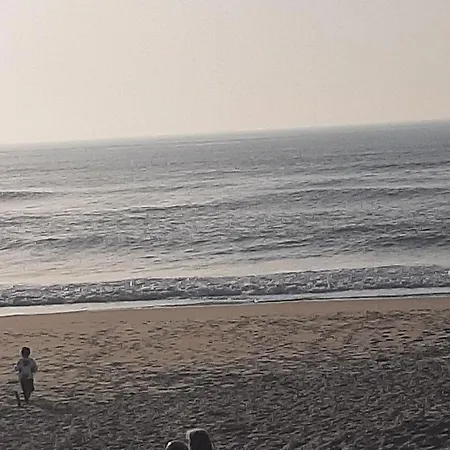 Sol E Mar Lejlighed *